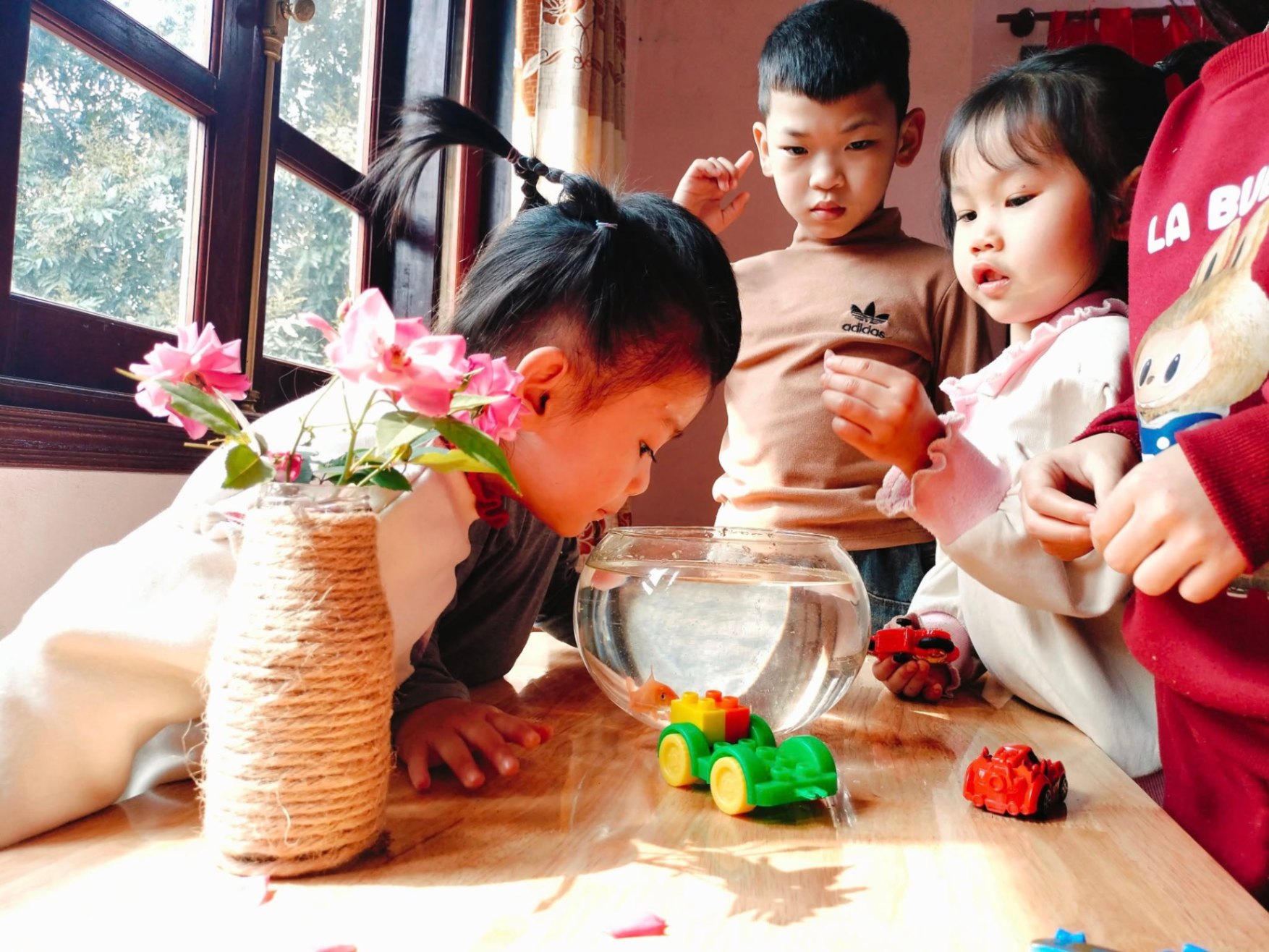 Hệ thống Giáo dục Đặc biệt Dream of Kids - Phường Trung Tâm