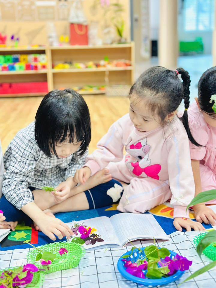 Hệ thống Mầm non BIBI Hoa Mai STEAM - Đà Nẵng