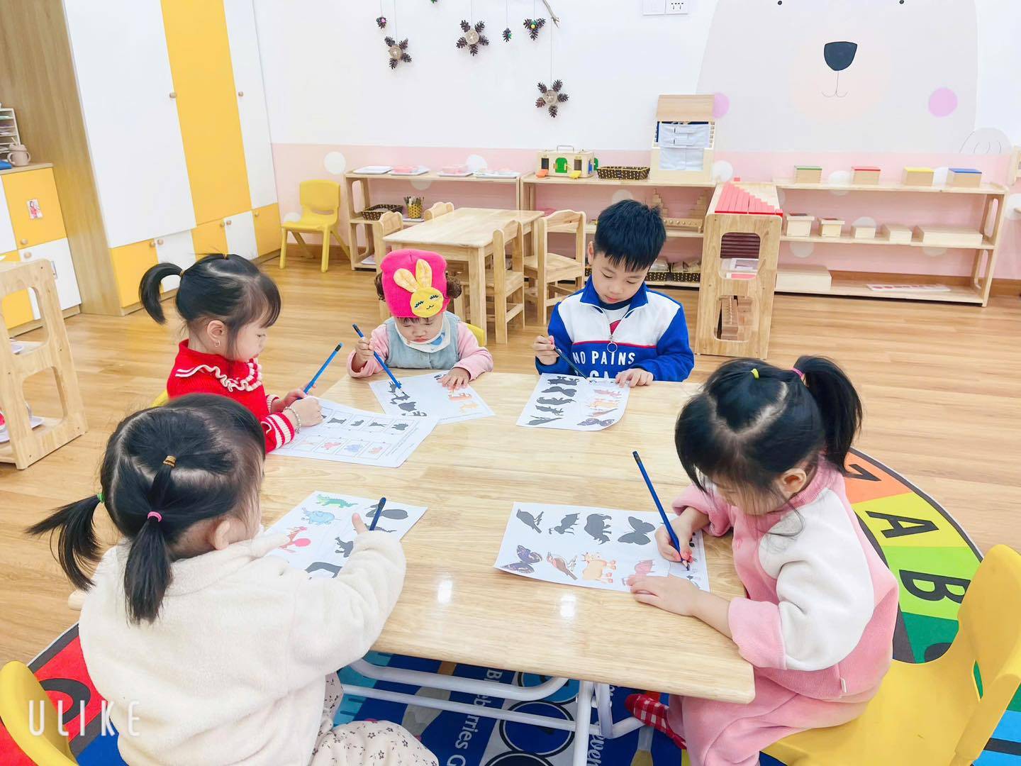 Hệ thống Mầm non P.Montessori - Võ Cường
