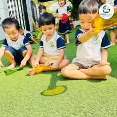 Hệ thống Mầm non Quốc tế Global Ecokids - Hà Đô Centrosa