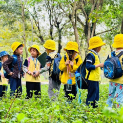 Mầm Non Cánh Đồng Mùa Xuân (SpringField Kindergarten) - Tân Phong, Quận 7