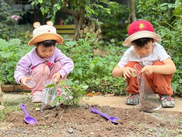 Mầm Non Bee Montessori - Trung Sơn Trầm
