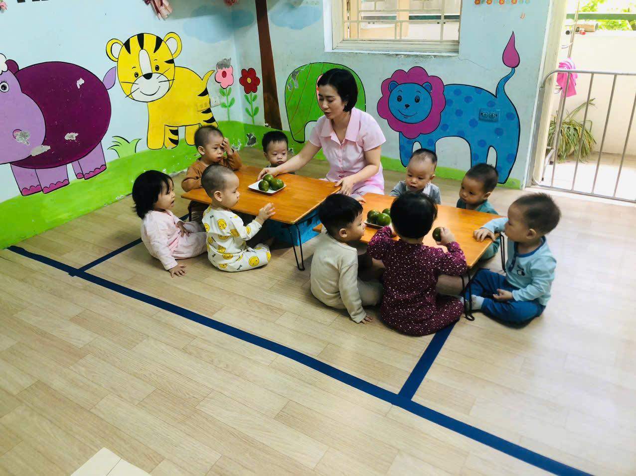 MẦM NON HOA VI - Văn Chương