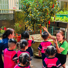 Mầm non Ngôi Sao Hạnh Phúc - Happy Stars Kindergarten - Tân Kiểng