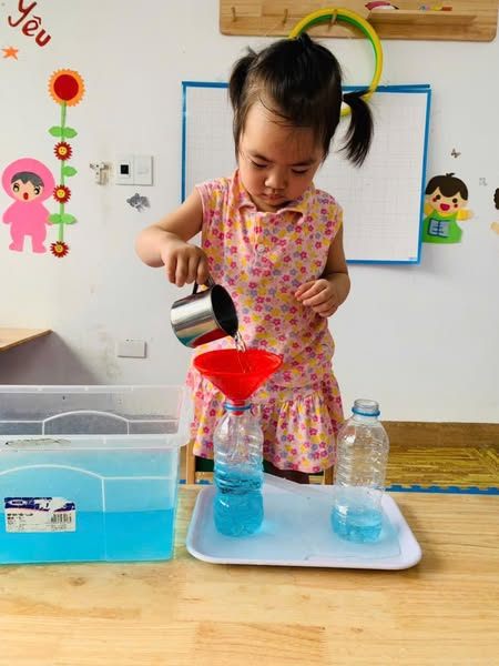 Mầm Non Panda - Võ Cường