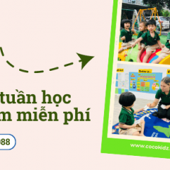 Mầm non Song Ngữ COCOKIDZ - Hồ Tùng Mậu