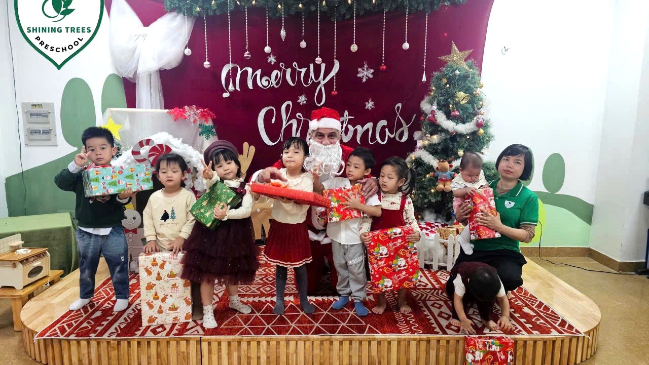 Mầm Non Song Ngữ Shining Trees - Mộ Lao