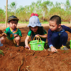 Mầm Non Trẻ Em Việt - Vietkids Plus - Xuân Đỉnh