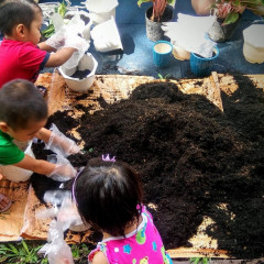 Mầm Non Trúc Đào - Phường 7, Gò Vấp