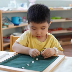 Mầm Non Tuổi Hồng - Phú Hòa, Thủ Dầu Một