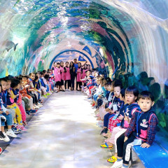 Mầm Non Vườn Hanoi - Tokyo (HATOMI) - Nguyễn Cơ Trạch