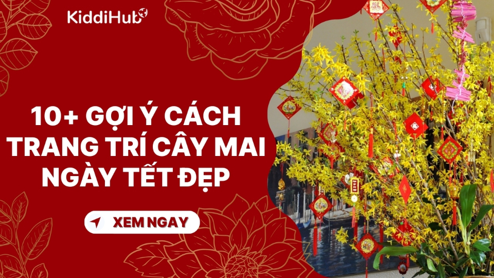 10+ Gợi ý cách trang trí cây mai ngày Tết đẹp, rực rỡ đón xuân