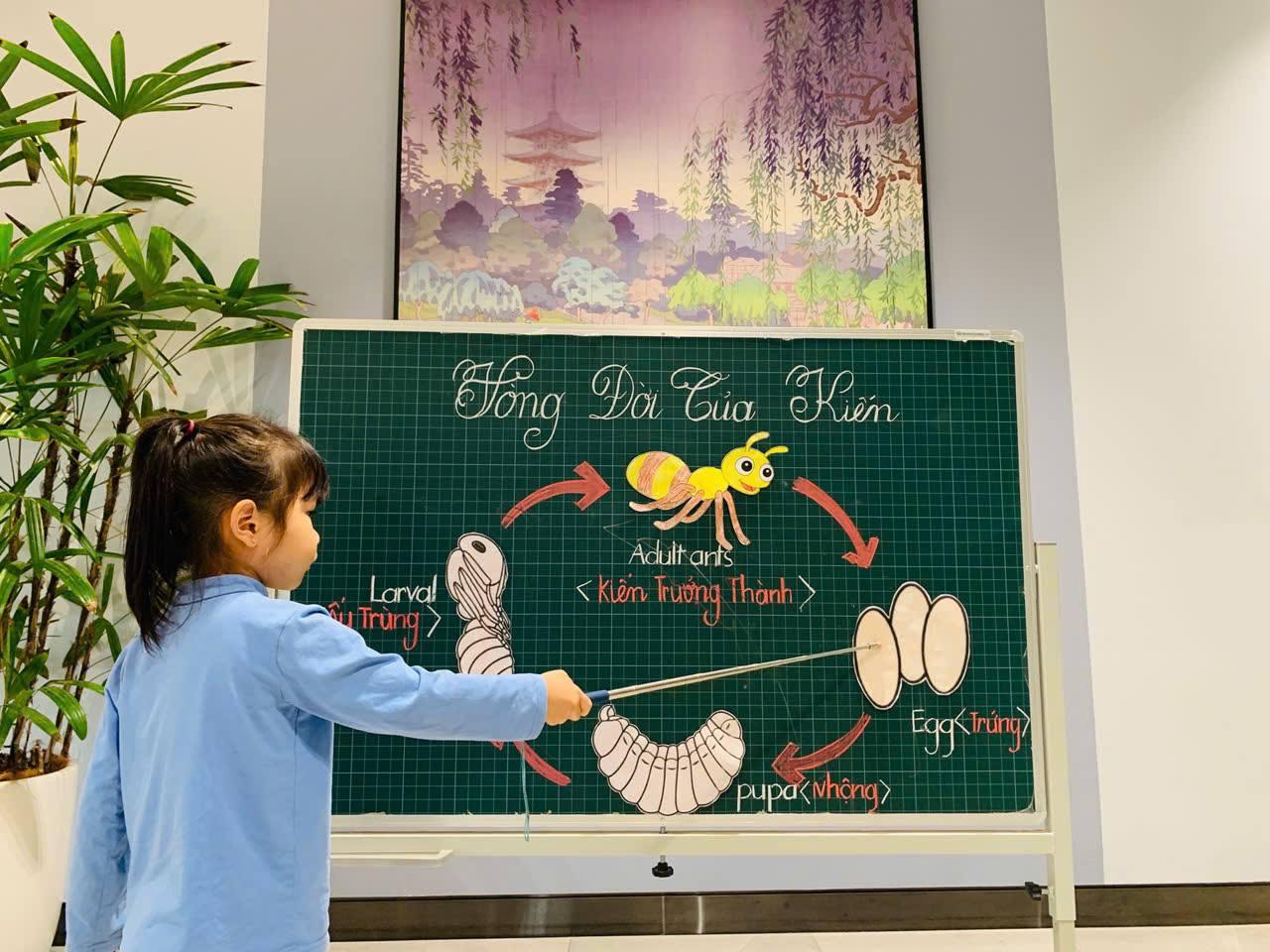 Song ngữ Vietkids Montessori - Cơ sở 3