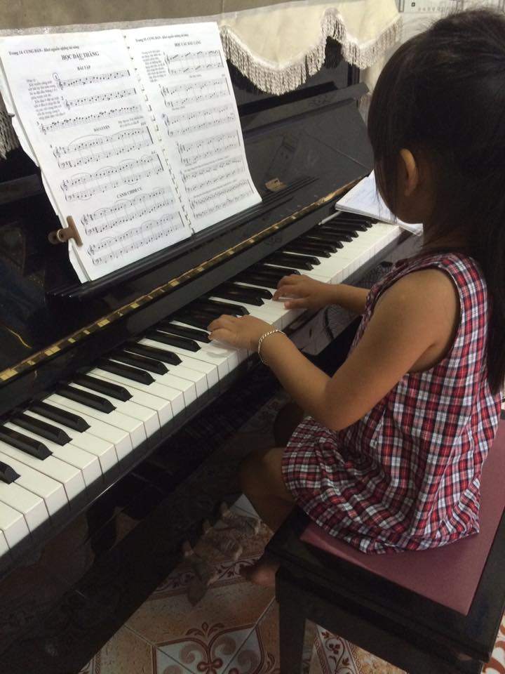 Trung tâm Âm nhạc Cung Đàn - Đông Hòa