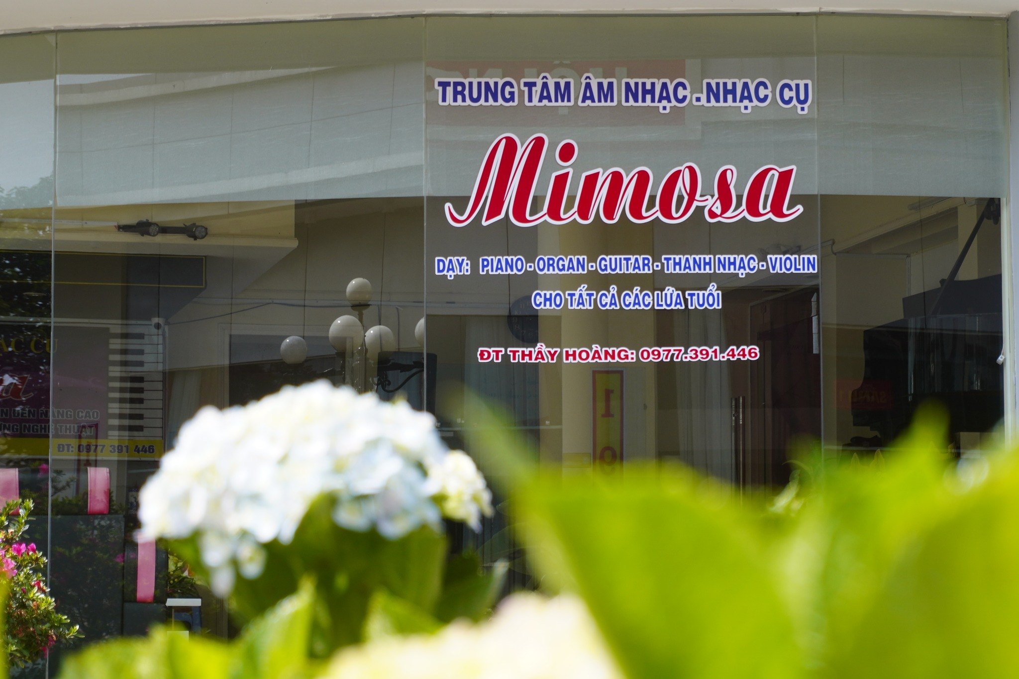 Trung tâm Âm Nhạc Mimosa Cs1 - Đà Lạt