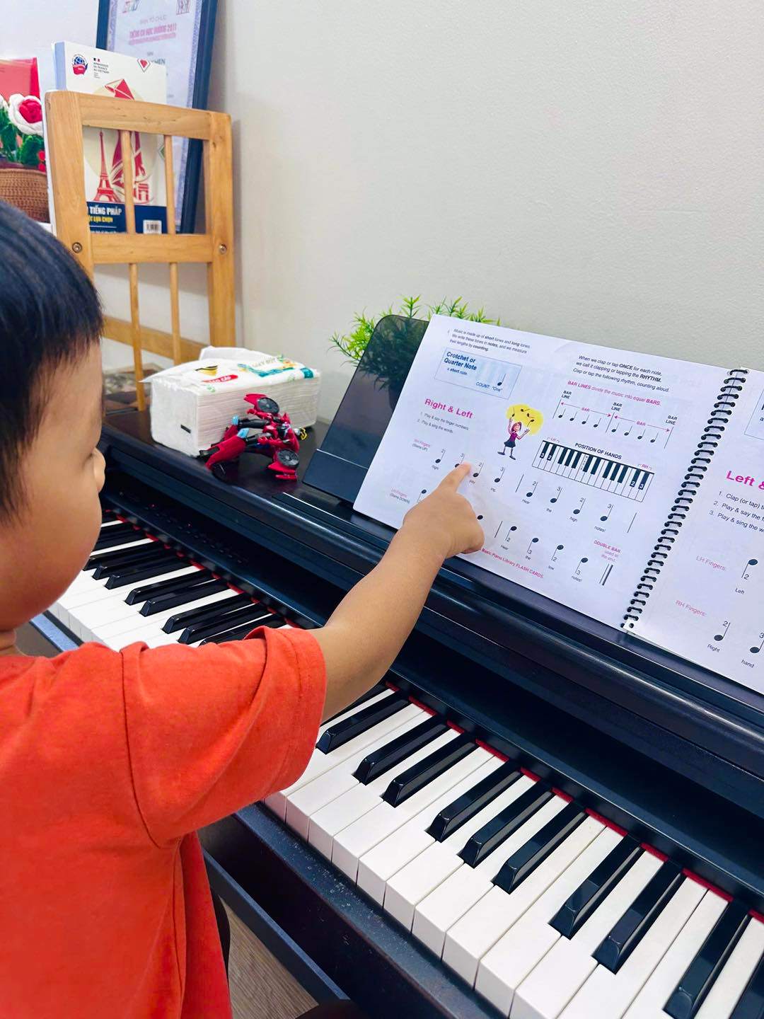 Trung tâm Âm nhạc Stella - Gò Vấp