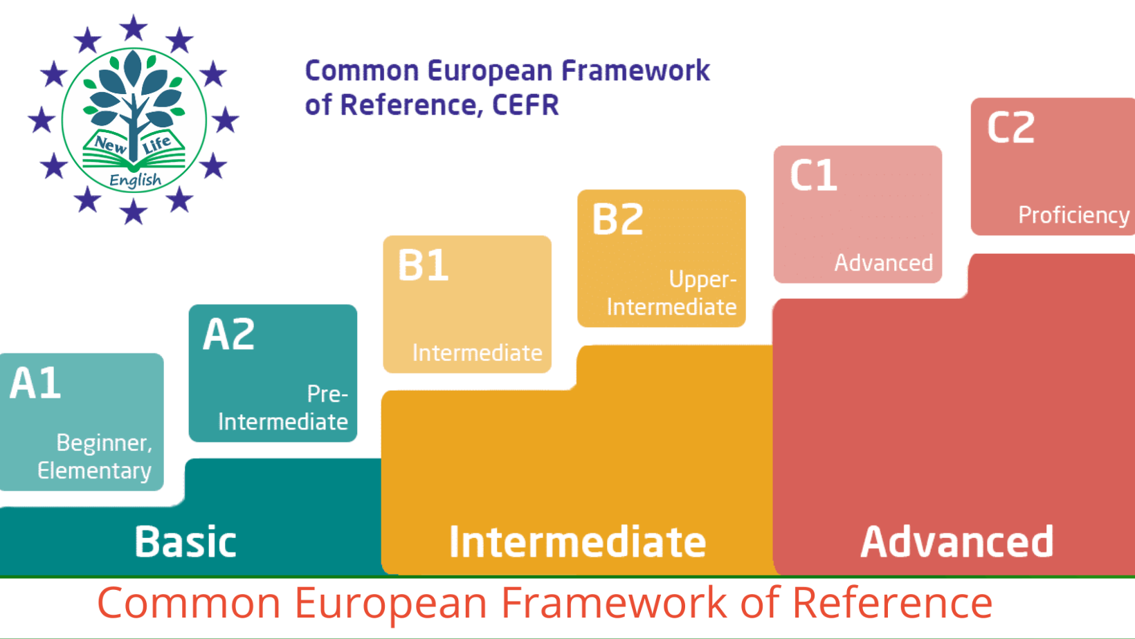 Trung tâm Anh Ngữ NewLife - Bà Rịa