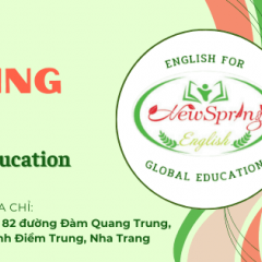 Trung Tâm Anh Ngữ NewSpring - Nha Trang