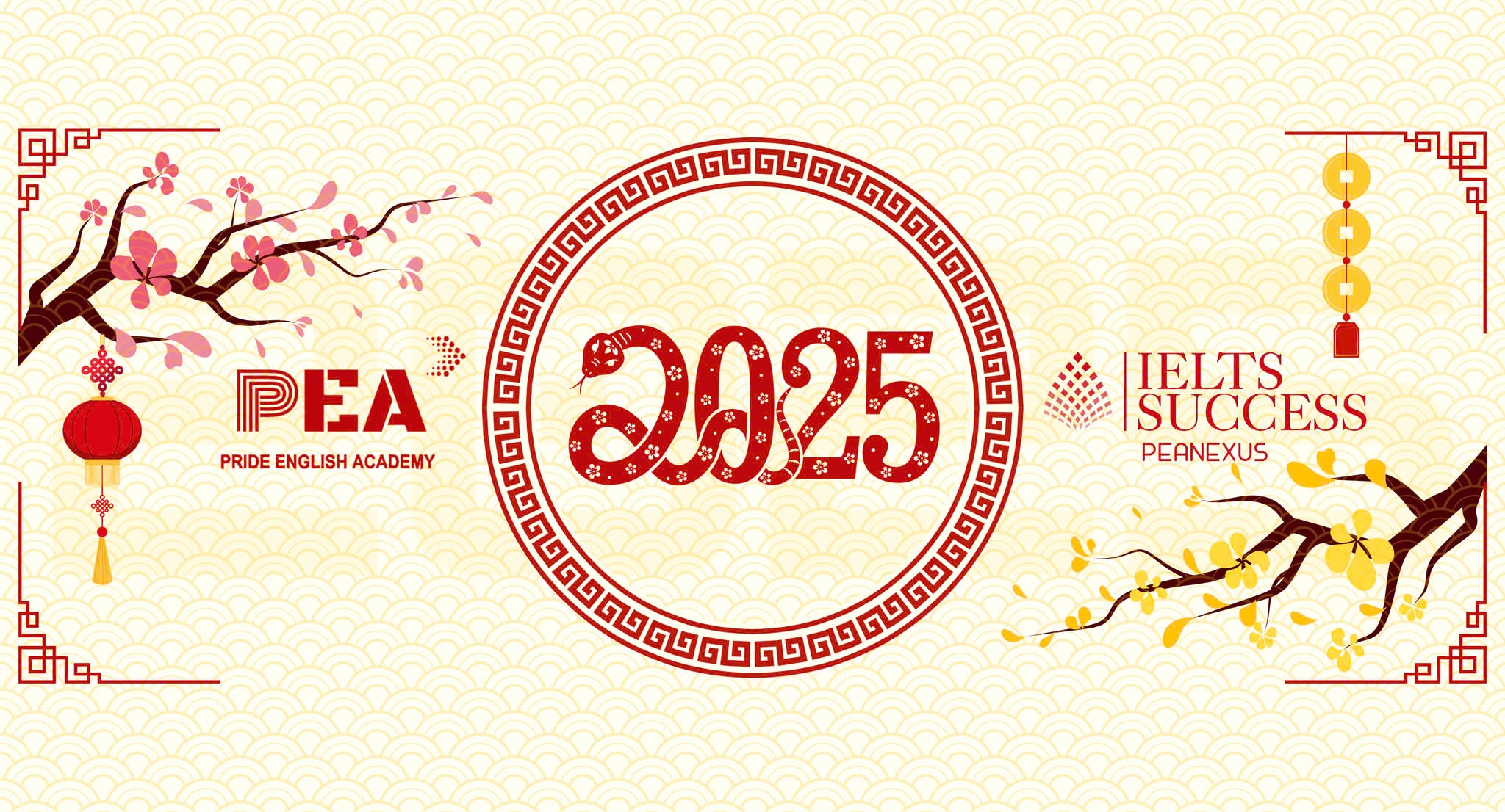 Trung tâm Anh Ngữ PEA - Bình Lục