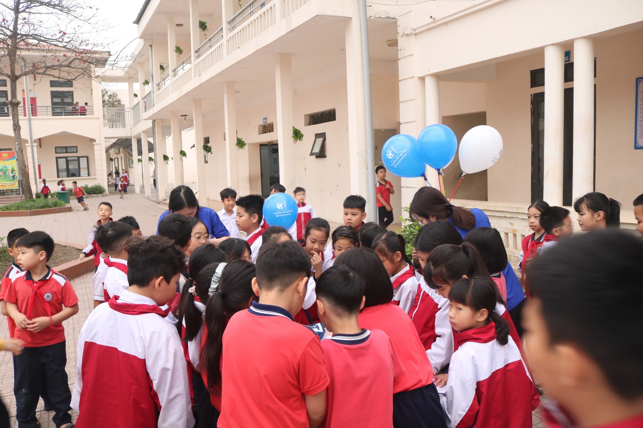 Trung tâm Anh Ngữ VHS - Bồ Đề