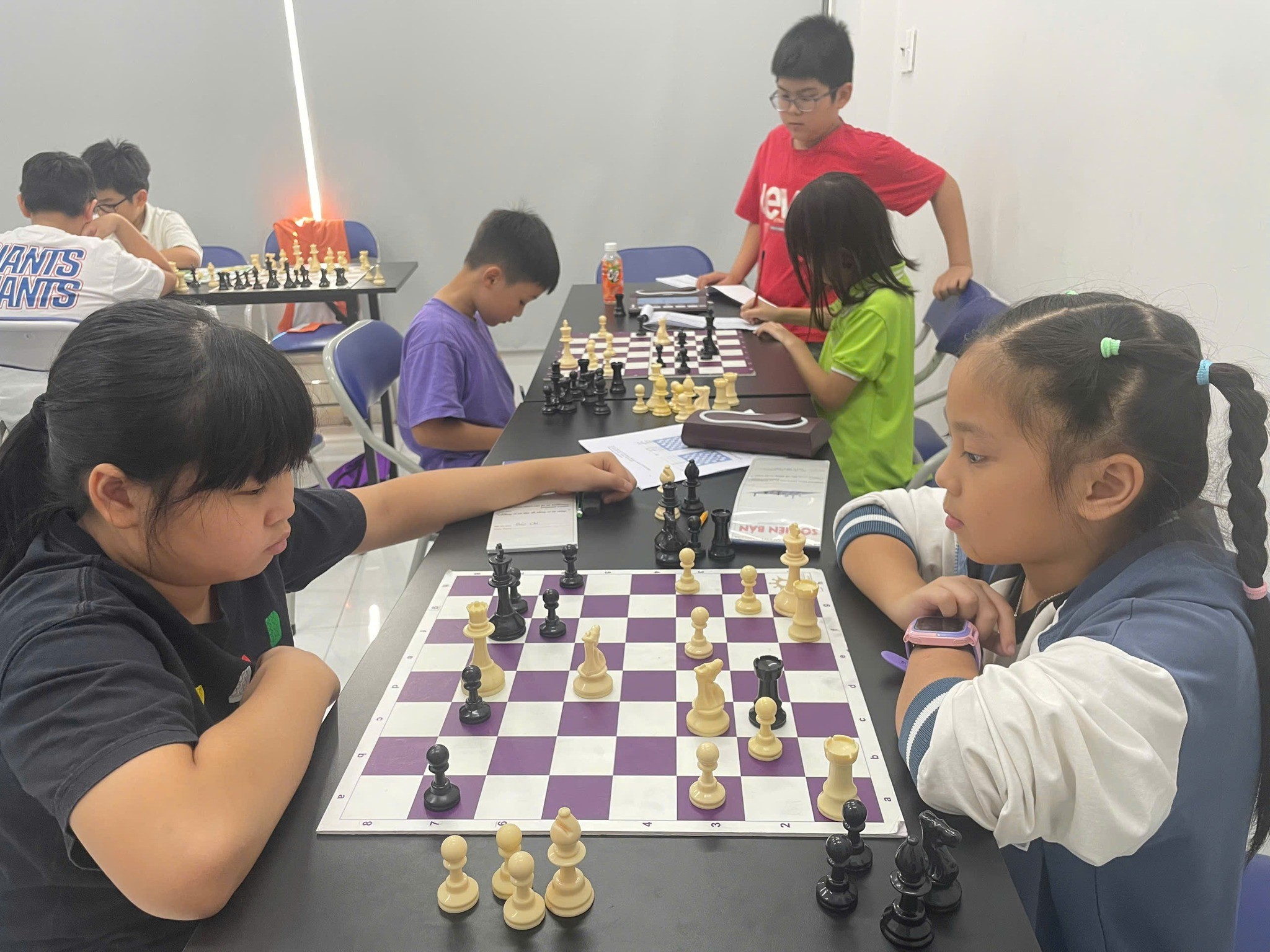 Trung tâm Cờ Hoàng Gia RoyalChess - Tân Bình