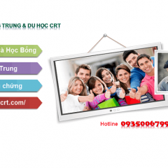 Trung tâm Hoa Ngữ CRT - Vũng Tàu