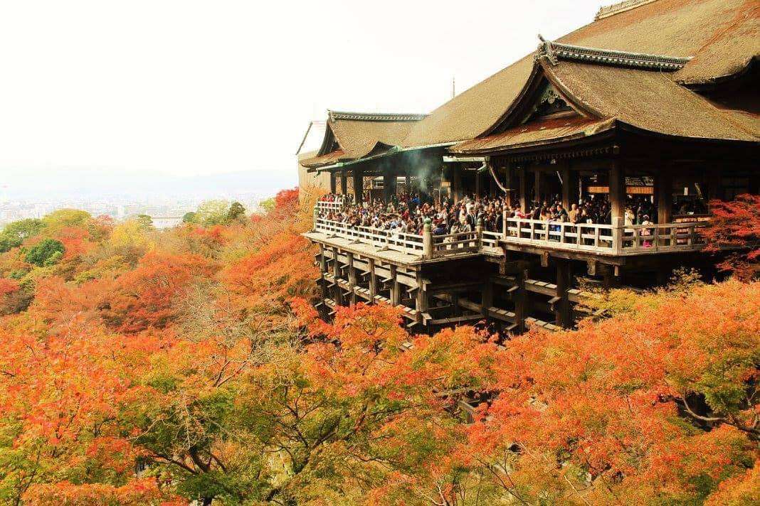 Trung tâm Meikoh Academy - Cẩm Lệ