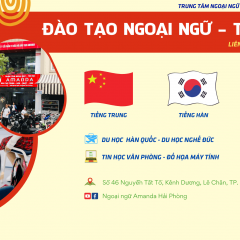 Trung tâm Ngoại ngữ & Du học Amanda - Hải Phòng