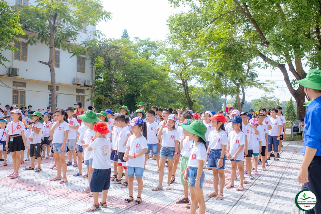 Hoạt động tại Aplus