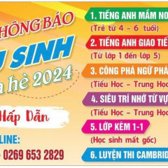 Trung tâm Ngoại Ngữ Dân Việt - Gia Lai