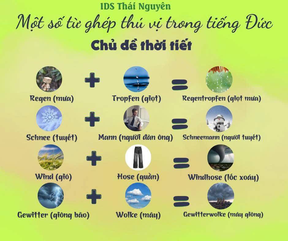 Trung tâm Ngoại Ngữ tiếng Đức Quốc tế IDS - Thái Nguyên