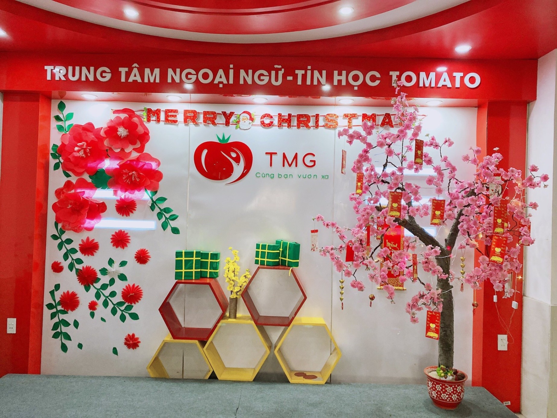 Trung tâm Ngoại Ngữ Tomato - Tp Vinh