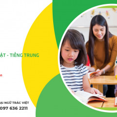 Trung tâm Ngoại Ngữ Trác Việt - Văn Cao, Hải Phòng