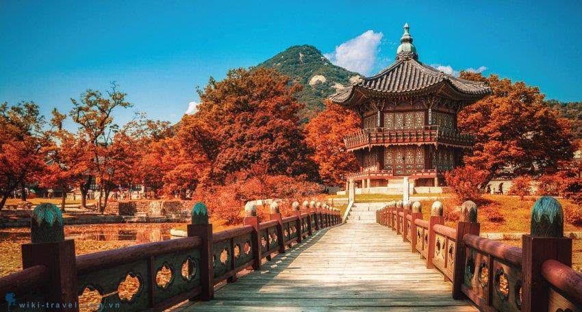 Trung tâm Nhân Lực - Tư Vấn Du Học Và Xuất Khẩu Lao Động - Mỹ Đình 1