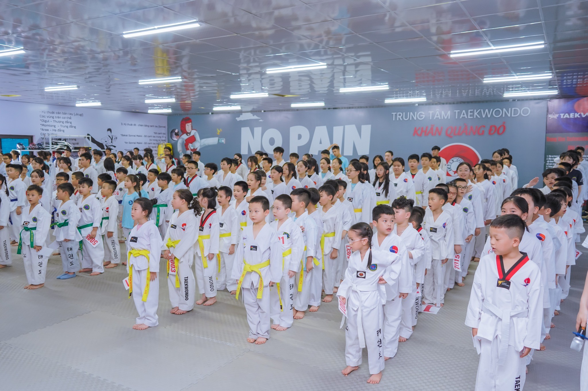 Trung tâm Taekwondo Khăn Quàng Đỏ - Hồng Hải