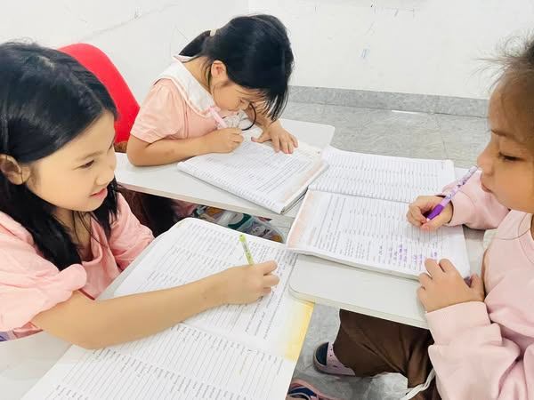 Trung tâm Tiếng Anh Hana - Hoài Đức