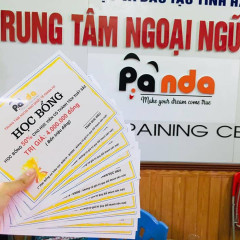 Trung Tâm Tiếng Anh Quốc Tế PANDA HD - Phường An Lưu, Hải Dương