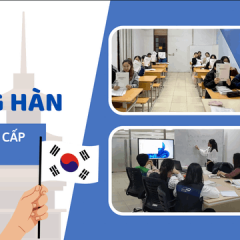 Trung tâm tiếng Hàn Sejong - Vĩnh Yên
