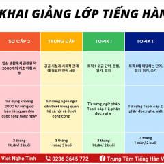 Trung Tâm Tiếng Hàn Vision - VKLC - Đà Nẵng