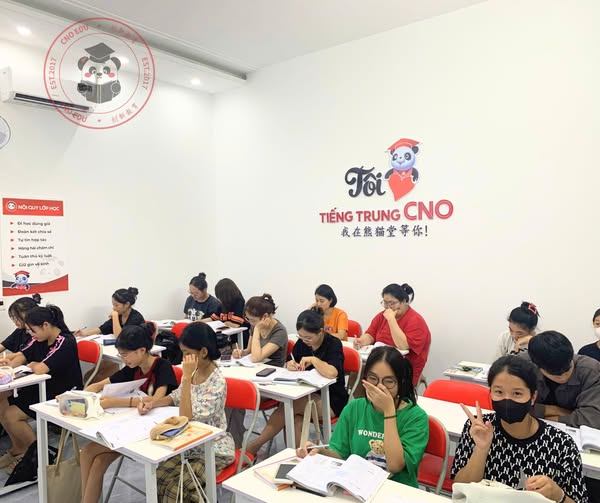 Trung tâm Tiếng Trung CNO - Cẩm Trung