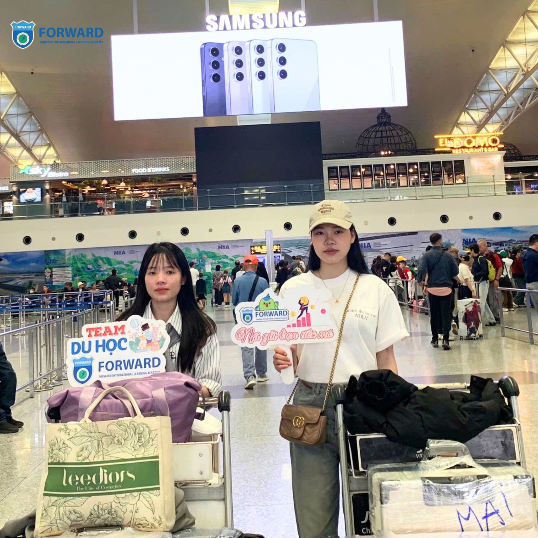 Trung tâm Tiếng Trung Forward - Nghệ An