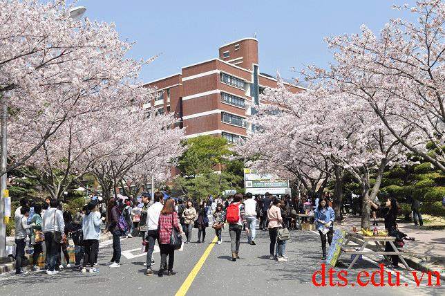 Trung tâm tư vấn và đào tạo Onnuri - Ngô Quyền