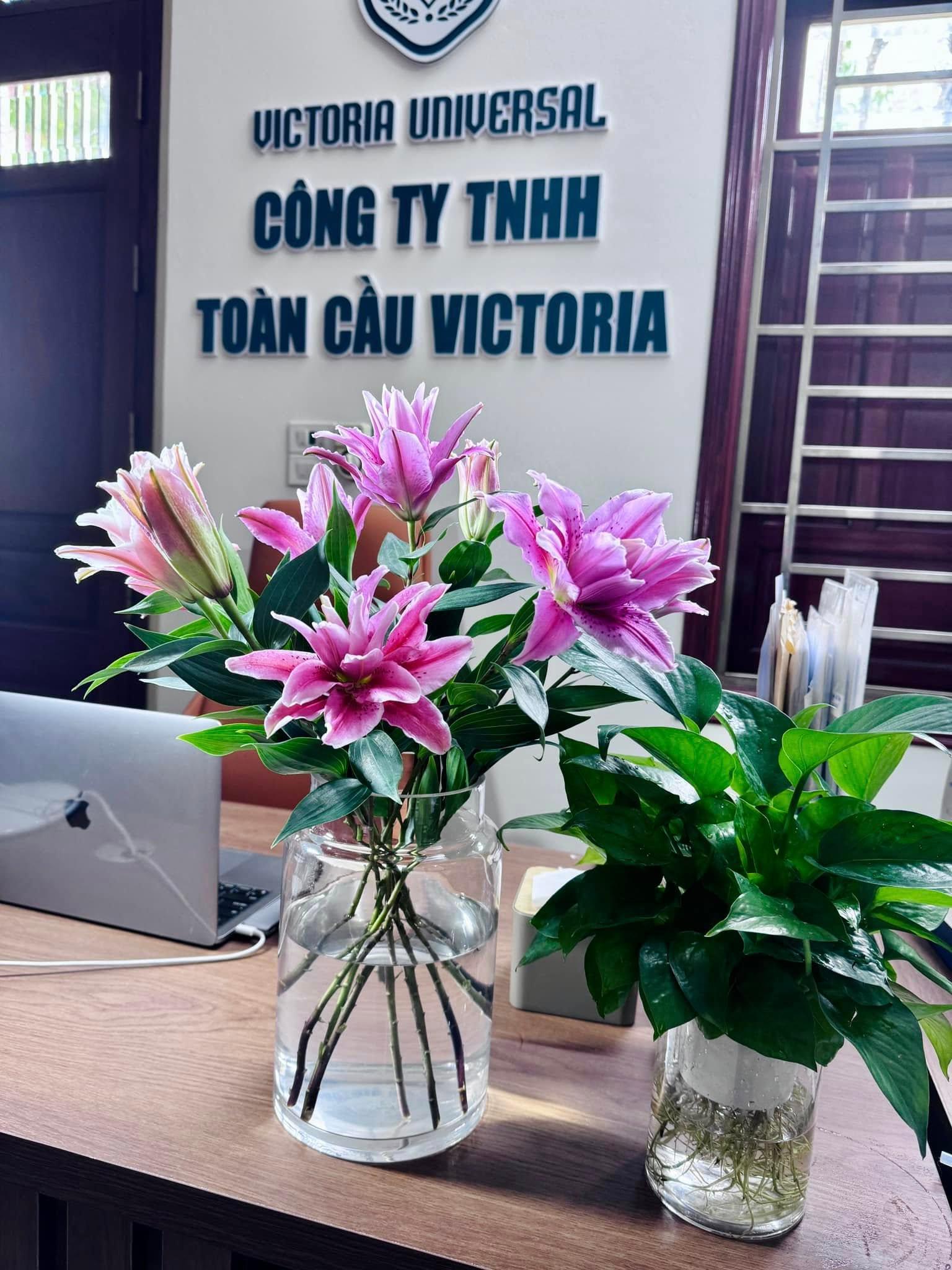 Trung tâm Victoria Universal - Hải Dương