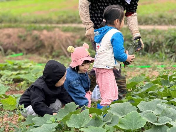 Trường Mầm non Ánh Dương - Nam Định