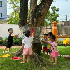 Mầm Non BaBy House - Tân Dương, Hải Phòng