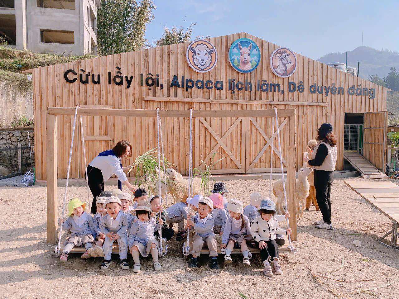 Trường Mầm non Bel Sa Pa - Kindergarten Sa Pa - Lào Cai