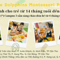 Trường Mầm Non Cá Heo Nhỏ (Little Dolphins Preschool) - Xuân Khánh