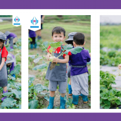 Mầm Non RubyKids - Mỗ Lao, Hà Đông
