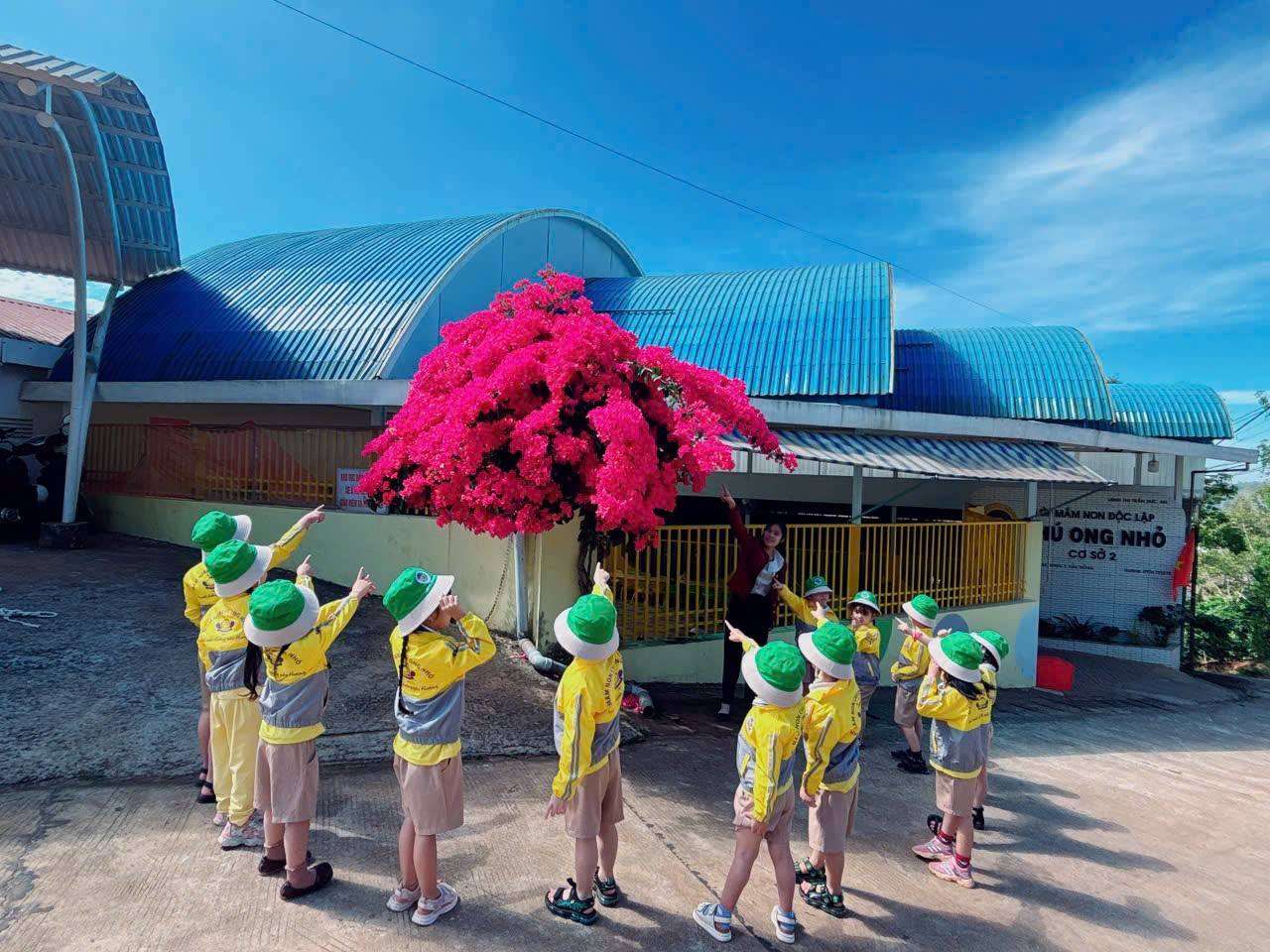 Trường Mầm non Chú Ong Nhỏ - Little Bee Kindergarten - Thị trấn Đức An