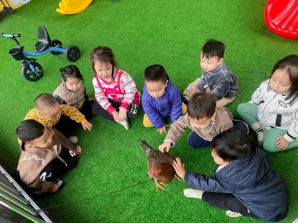 Trường Mầm Non Độc Lập Cầu Vồng - Hạ Long